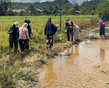 Pembagian rodentisida kepada kelompok tani