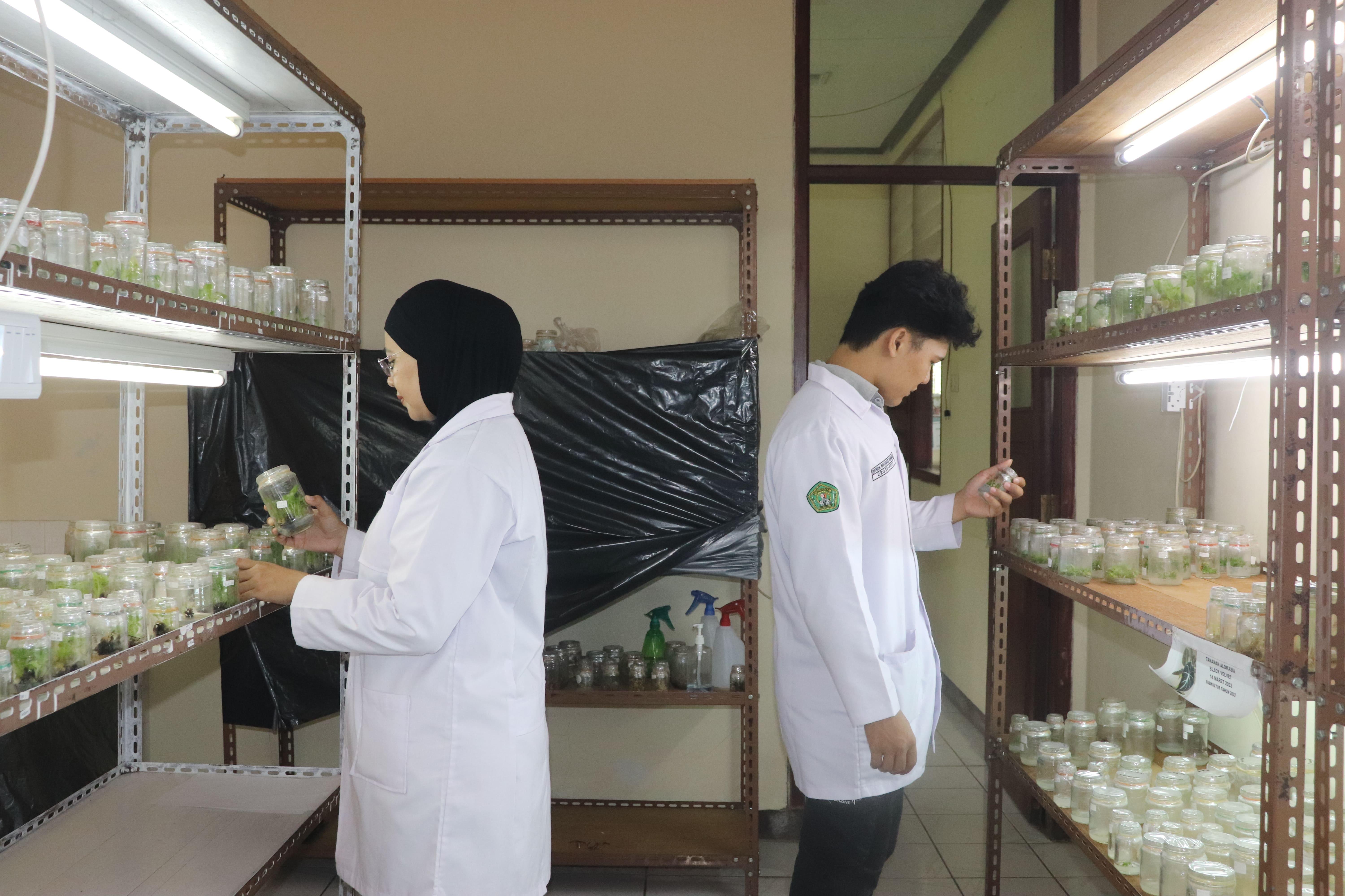 Laboratorium Kultur Jaringan
