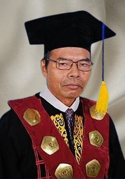 Prof. Dr. Warman, M.Si.